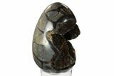 Septarian Dragon Egg Geode - Black Crystals #172817-3